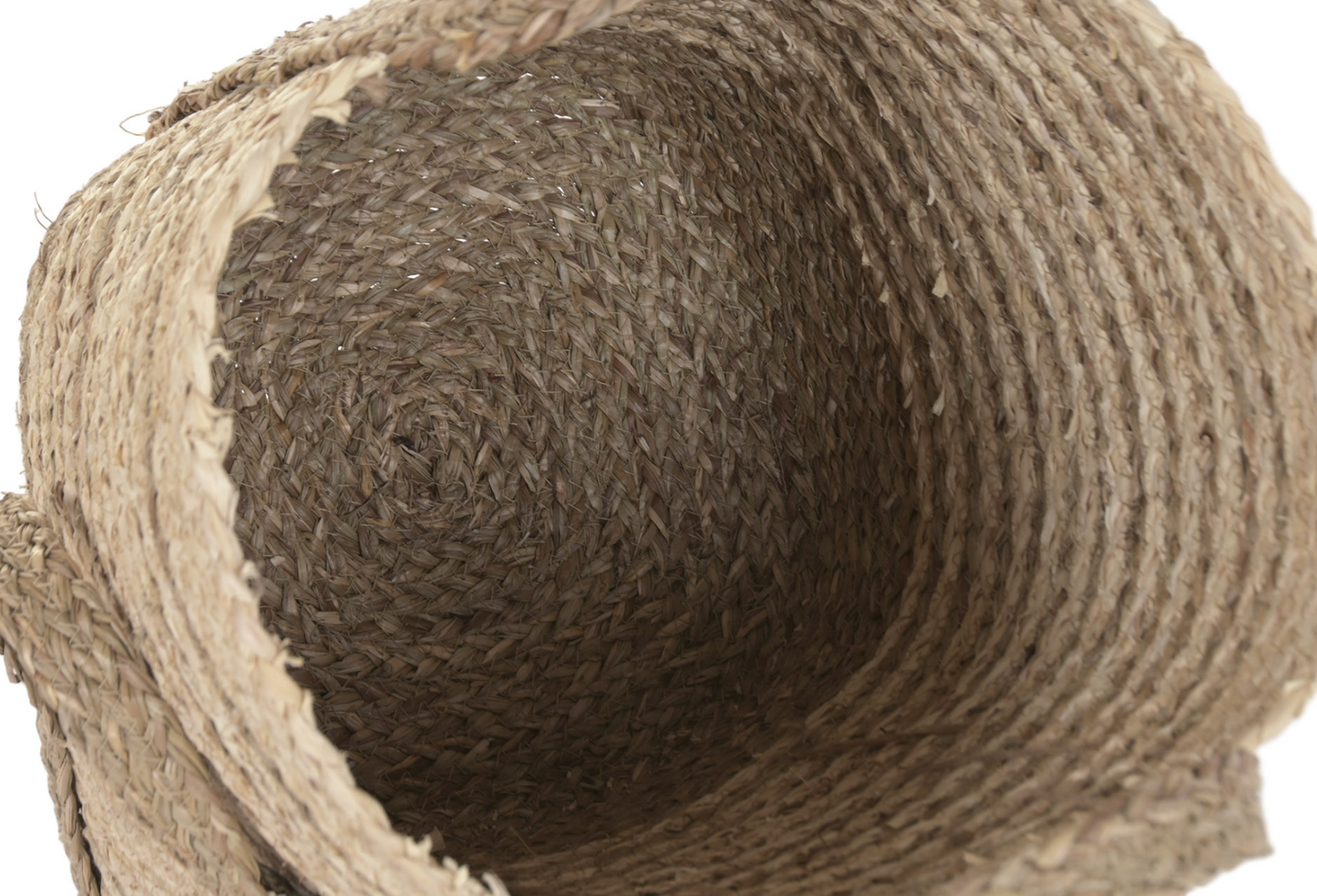 Zanti Basket