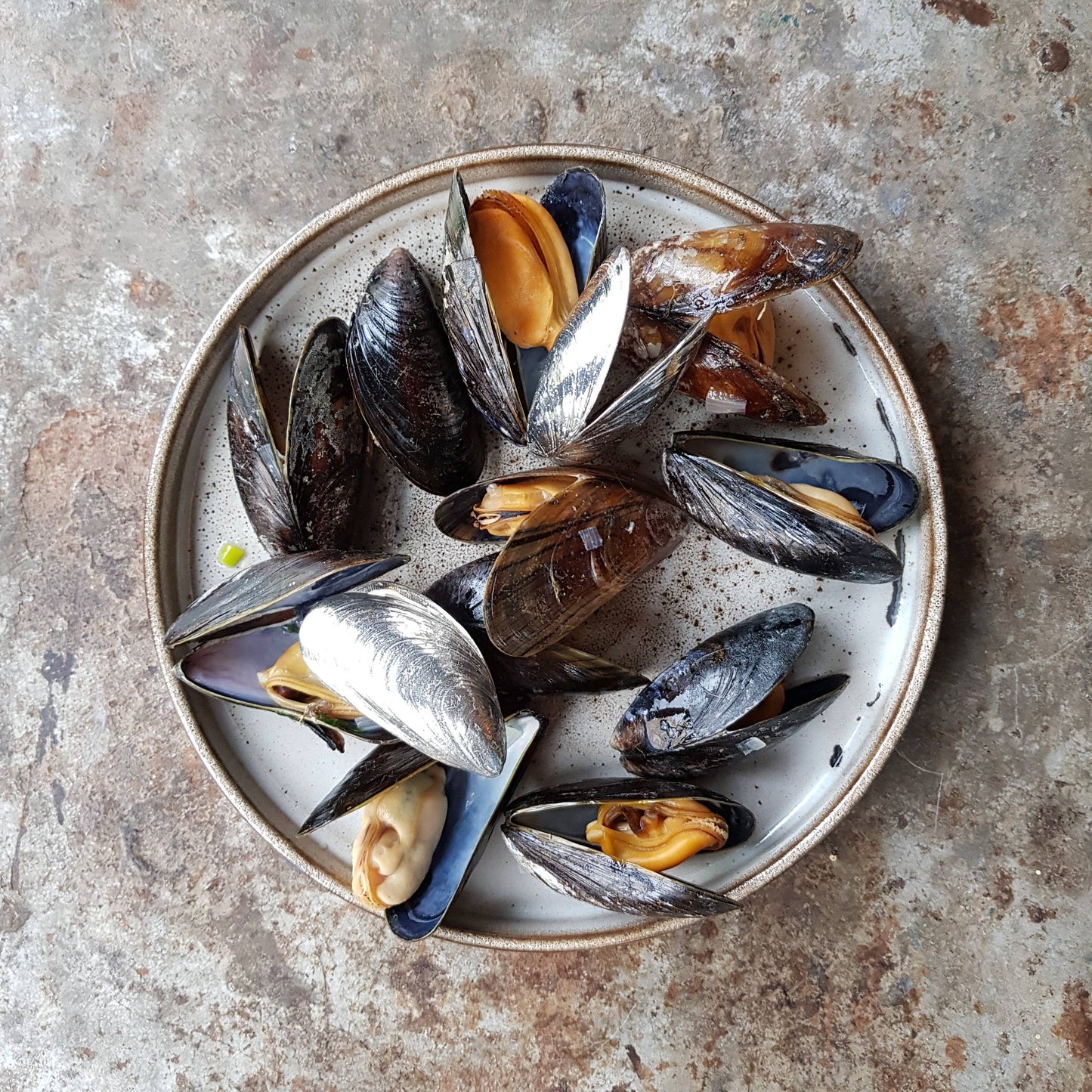 Mussel Cutlery