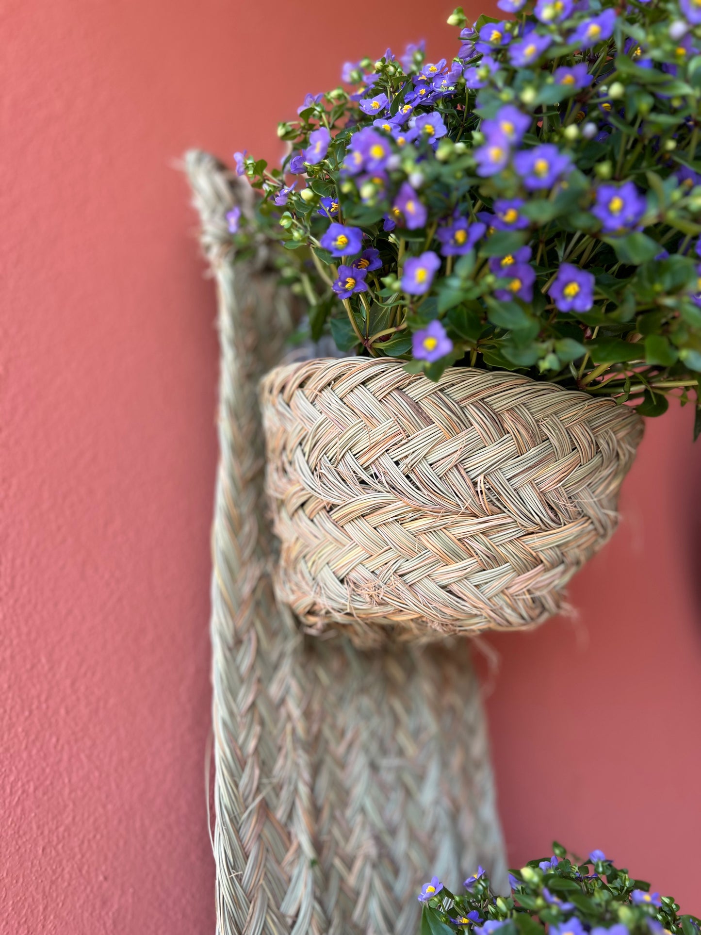 Esparto Planter
