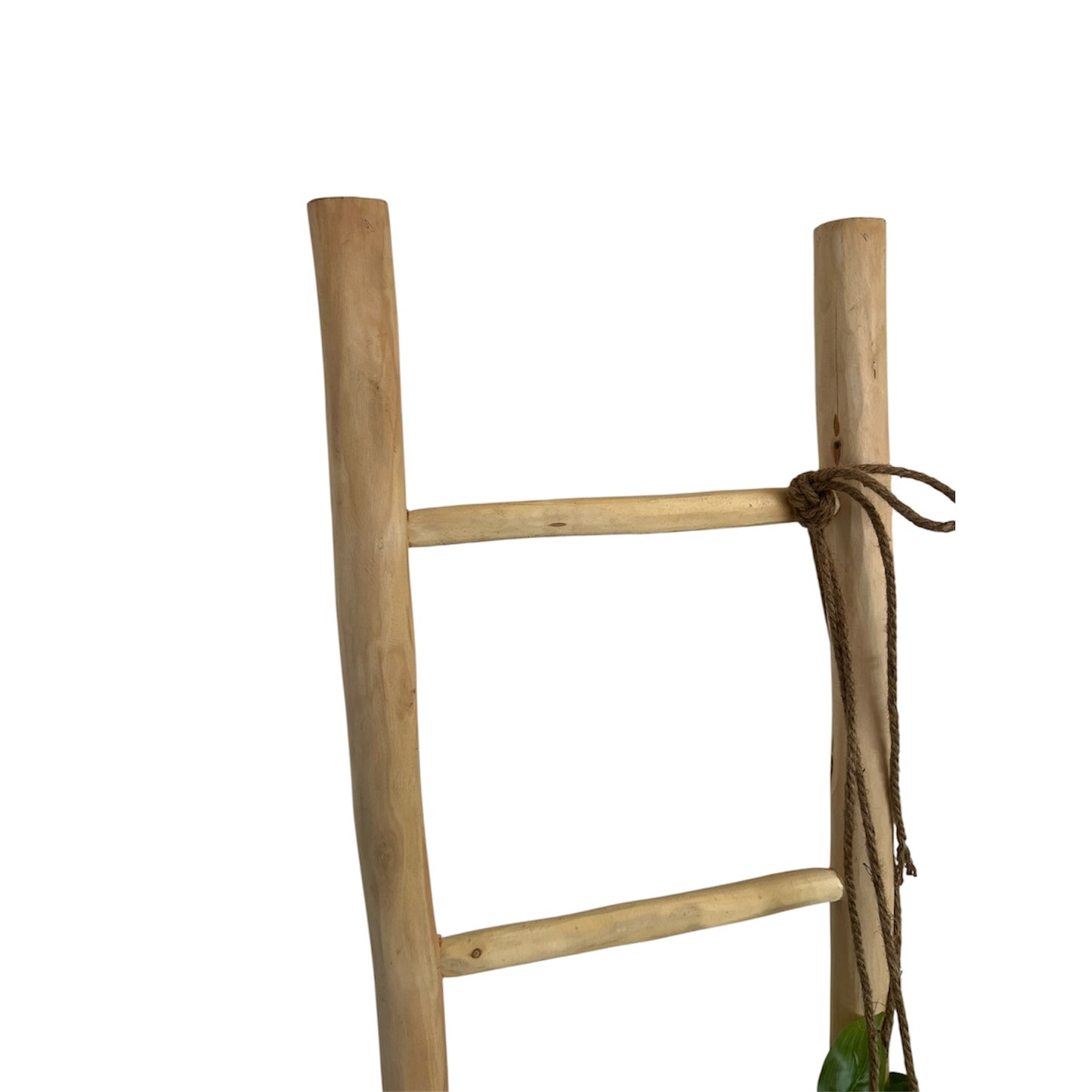 Eucalyptus Ladder