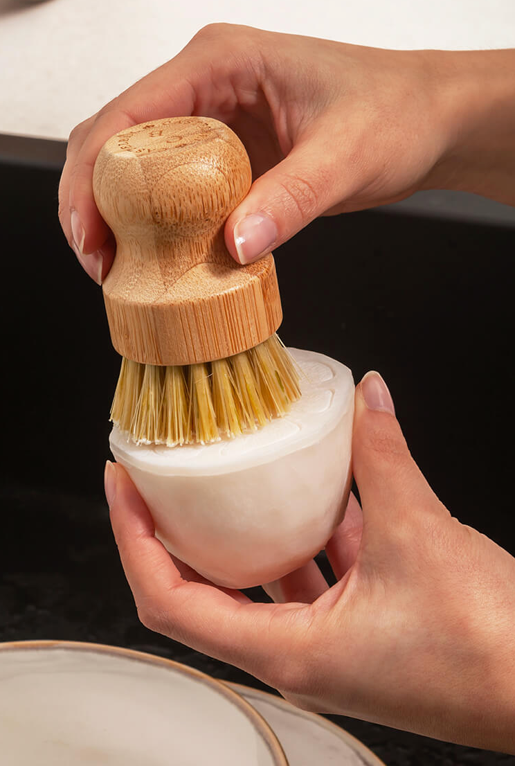 Sardine Bamboo Brush & Dish Washing Soap Set