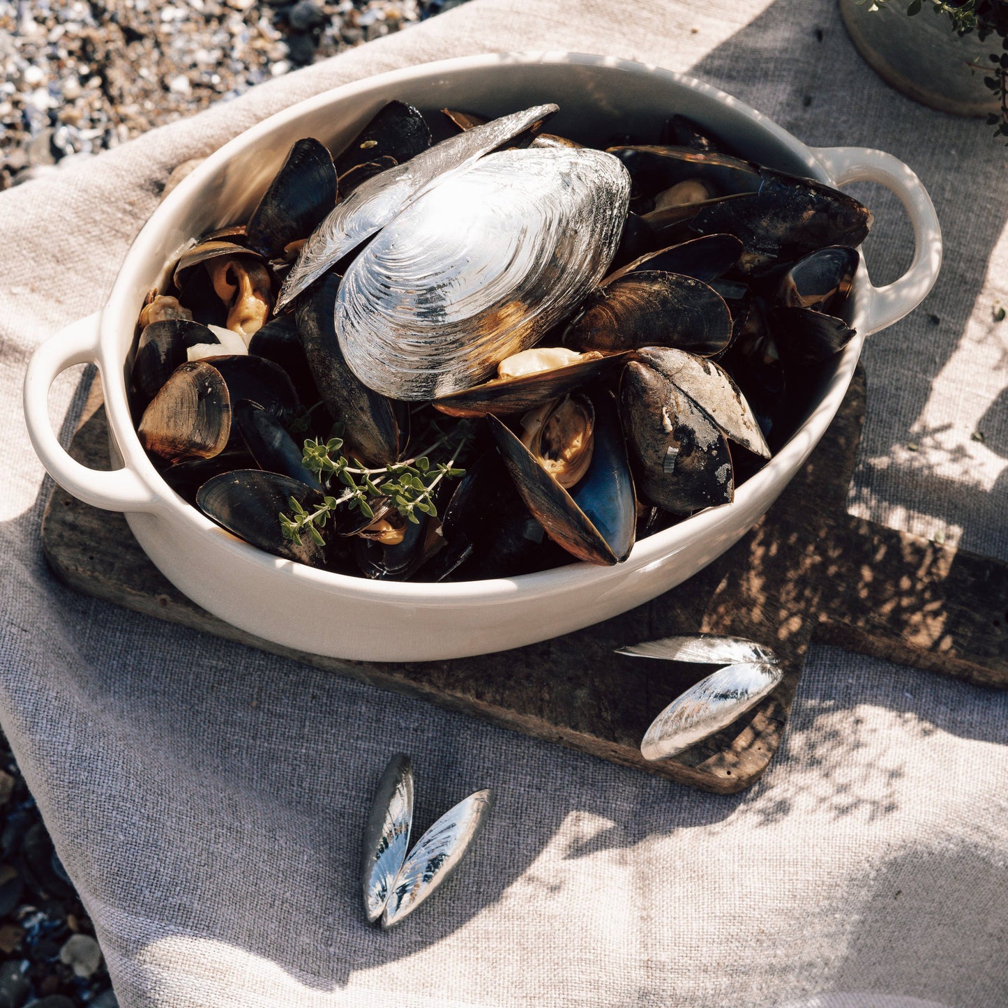 Mussel Cutlery